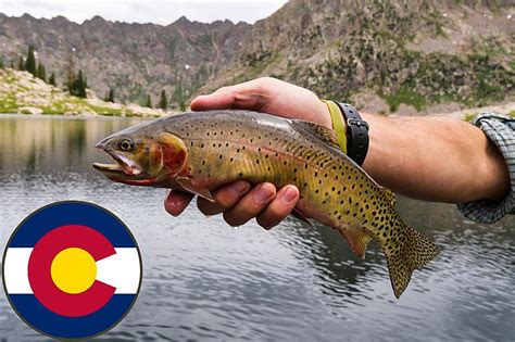 colorado fishing license 2023.